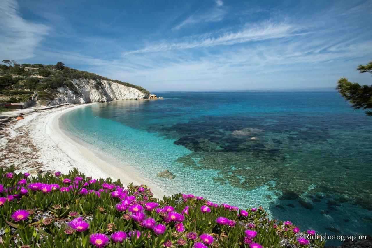 Hotel Acquamarina Portoferraio Dış mekan fotoğraf