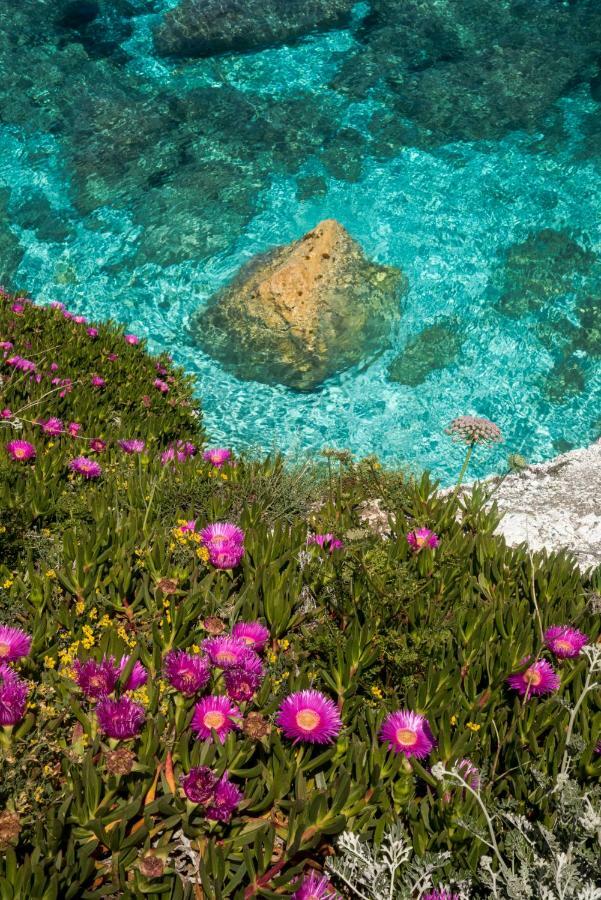 Hotel Acquamarina Portoferraio Dış mekan fotoğraf
